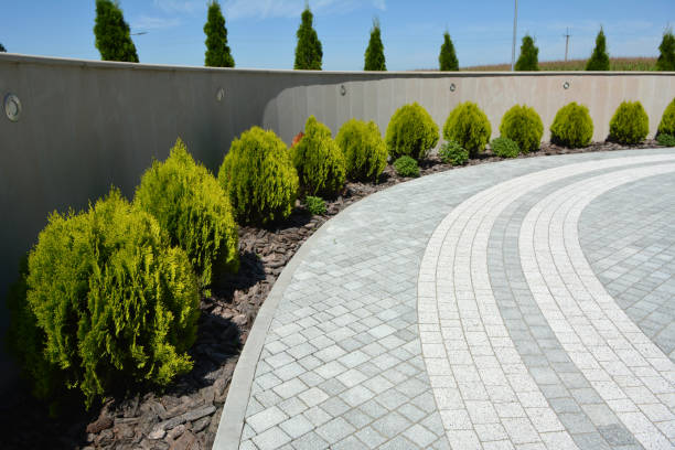 Best Local Driveway Pavers  in Laredo, TX